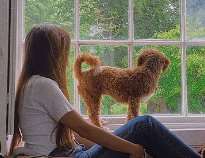 Kook also has a cute furry member in her family. She named the dog Briebrie.